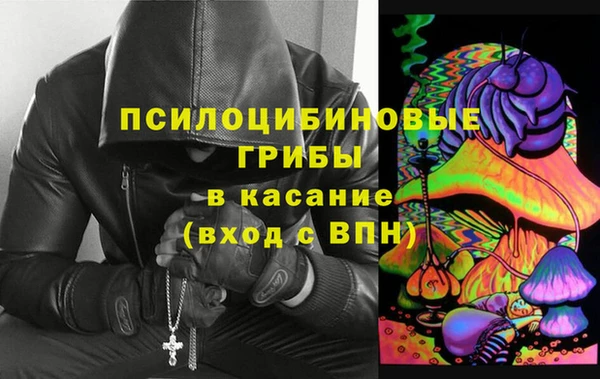 гашик Алзамай