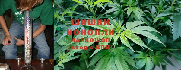 индика Нефтекумск