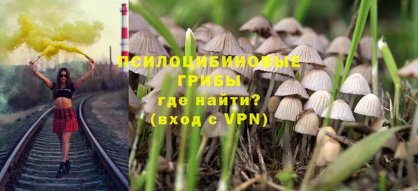 гашик Алзамай