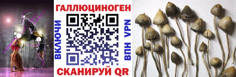 Галлюциногенные грибы ЛСД  Приморск 